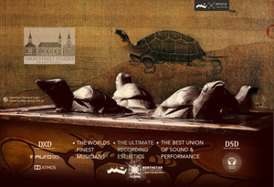 The Spirit of Turtle