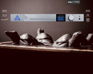 MERGING + HAPI PREMIUM 8 Channel DAC (CONTACT US BEFORE PURCHASE!)