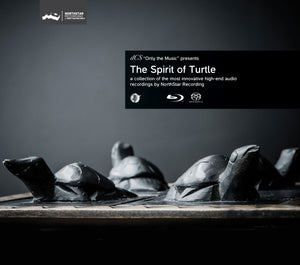 dCS Presents: The Spirit of Turtle Sampler (Download)